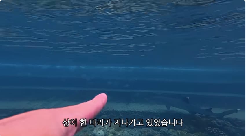 일본 부캉이 등장? 한국인이 좋아서 바다에 다이빙하면서 안부인사해주는일본 (31)