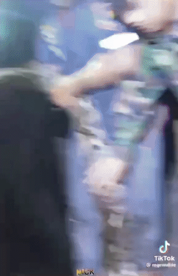 태국 가정집에서 잡힌 아니콘다 뱀 (2)