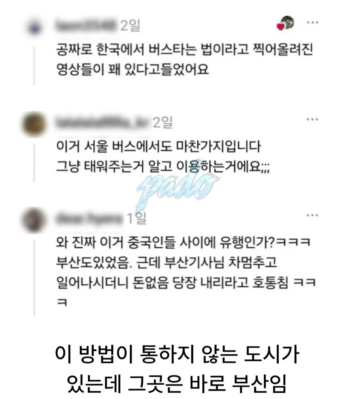 상남자들의 도시 부산 (4)
