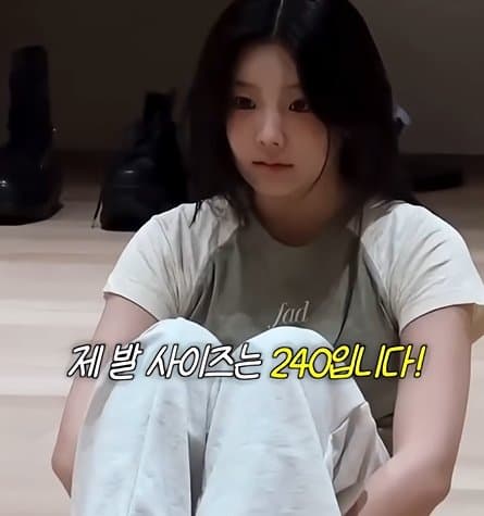 사실 루머공장이라는 나무위키 (14)