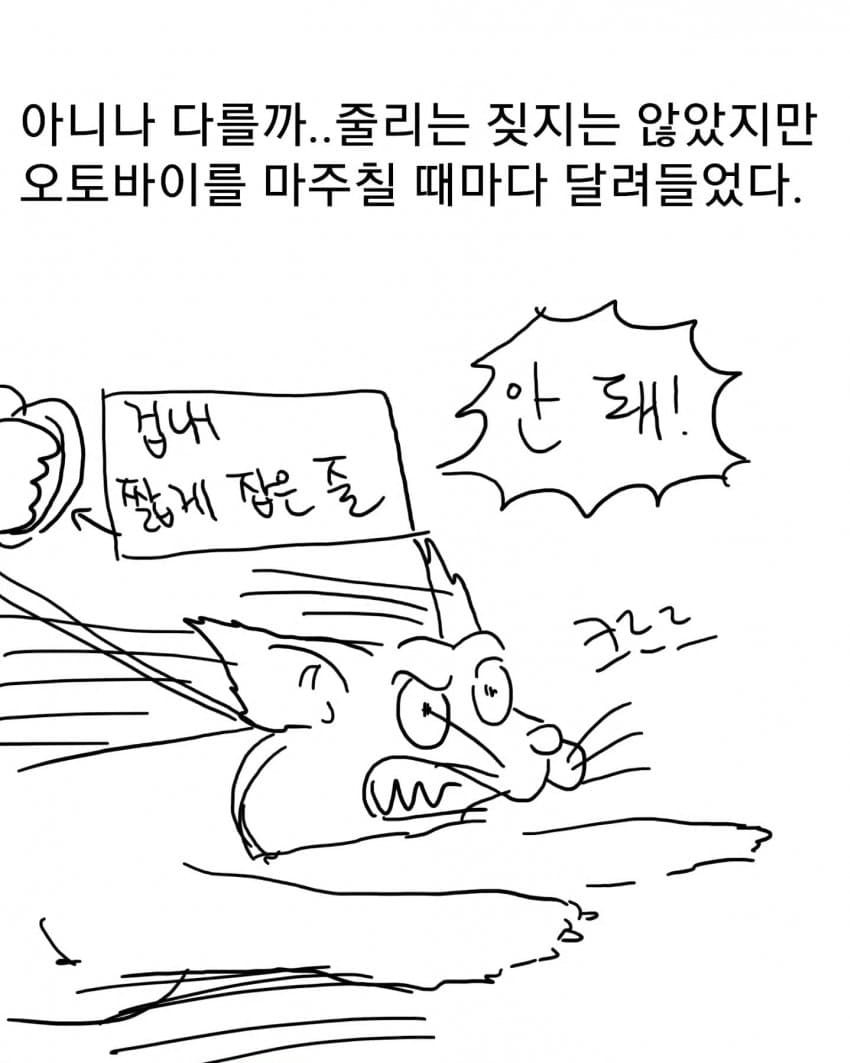 오토바이 무서워하는 강아지 교육하는 만화 (32)