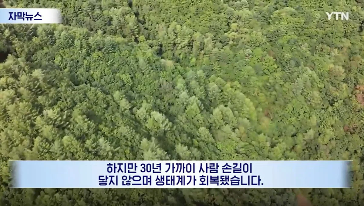 수십억 들여 숲 사놓고 아무것도 안한 이유 (6)
