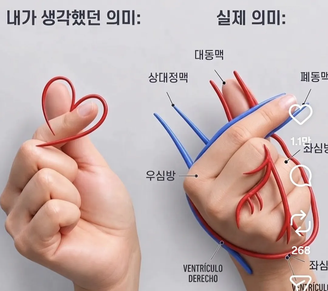 손가락 하트의 진짜 의미