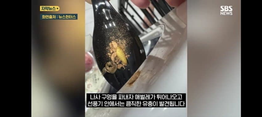 보관이사 맡겼다가 곰팡이, 벌레로 가구 다 망가진 제보자 (3)