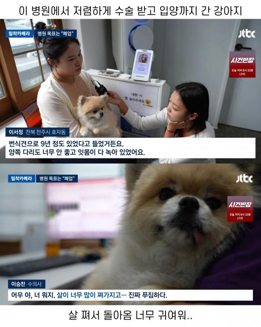 진료비 천 원이라는 동물병원 (5)