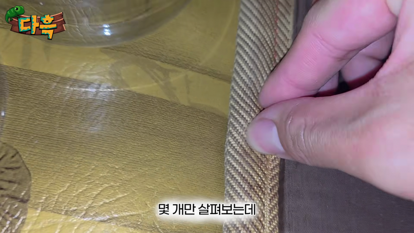 오싹오싹 부산 찜질방에 출몰해서 난리난 빈대(베드버그)상황 (13)