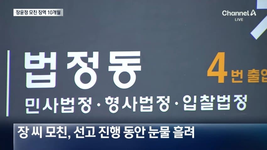 장윤정 모친, '3000만원대 사기 혐의' 1심서 징역 10개월 선고 (9)