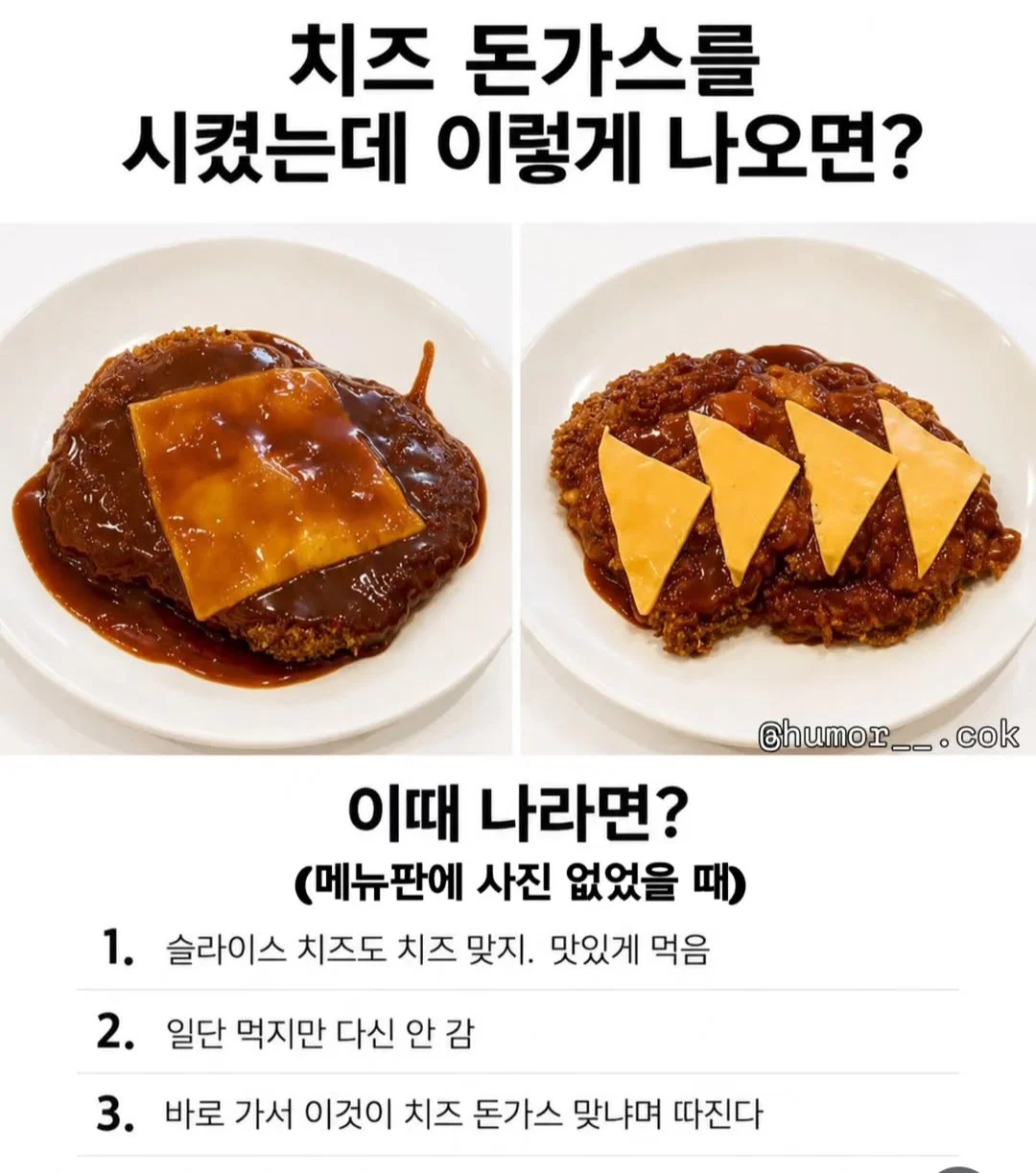 Q. 치즈돈가스를 시켰는데 이렇게 나오면 나는???