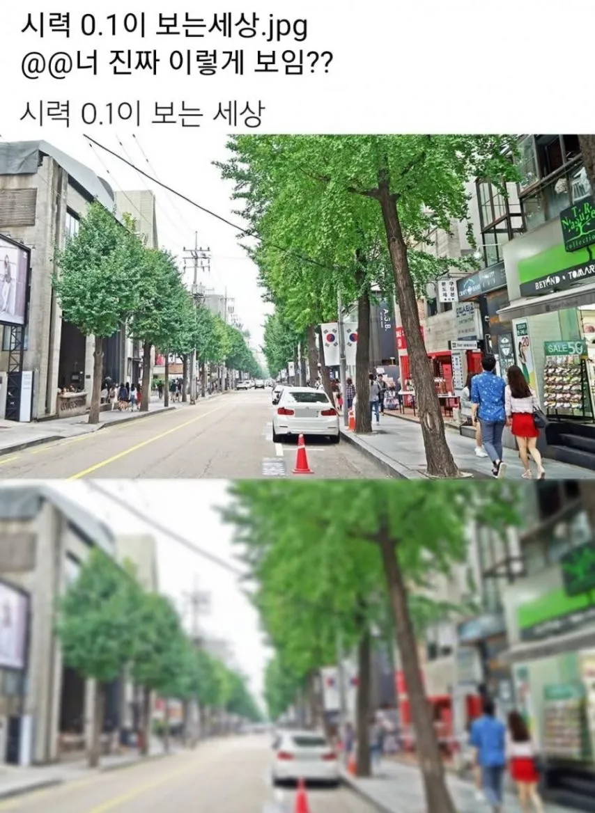 시력 0.1이 보는세상.