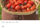 스테비아 방울토마토 2kg 토스 쿠폰할인 필수