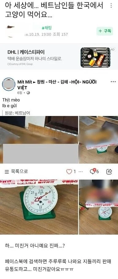 오우...고양이 고기먹는 베트남 아저씨들ㄷㄷㄷ