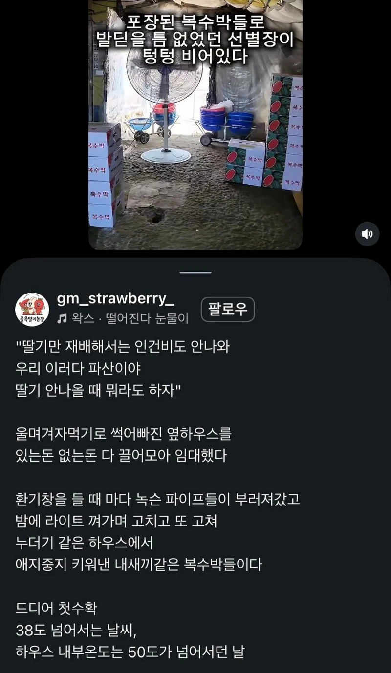 애써 지은 농작물을 짧은 틈에 도난 당했다..jpg