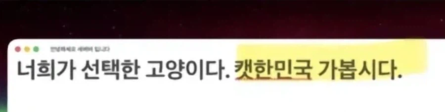 새덕후)이 사람 왜이렇게 됐어 (2)