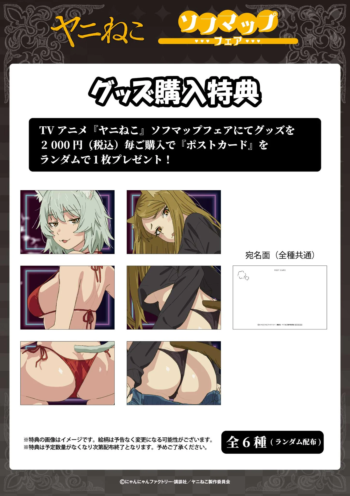 담배 고양이 근황