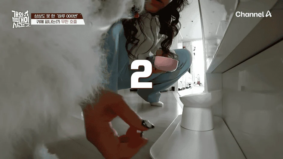 [#개와늑대의시간2] _저 같아도 물 것 같._ 하루에 개를 462번 부르는 보호자!_😨🚨 (귀에 딱지 앉을 듯.)🤕🐕 _ 개와 늑대의 시간2 17회 15-42 screenshot.png