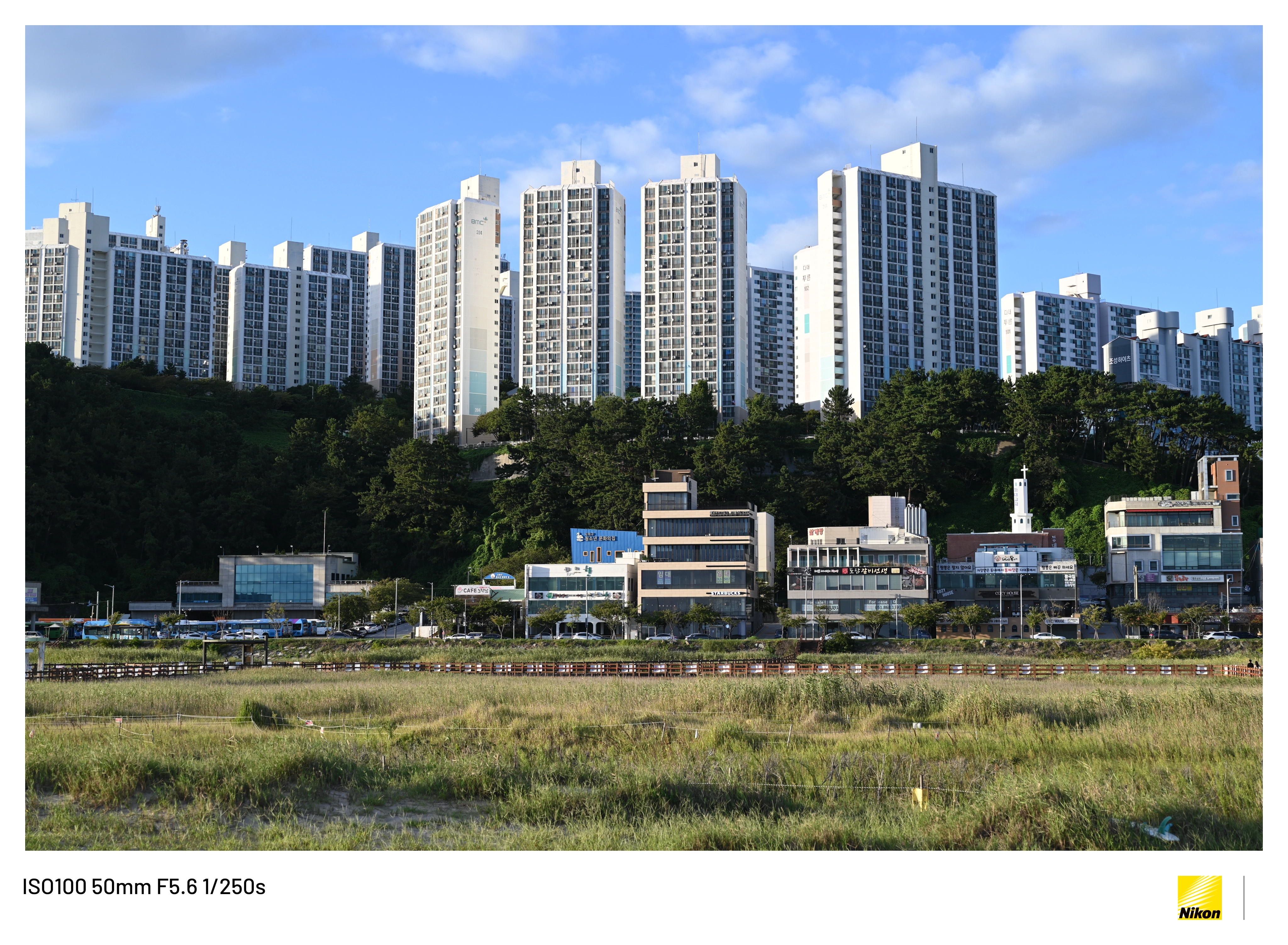 부산 다대포1 (10)