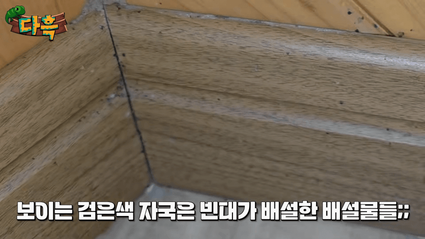 오싹오싹 부산 찜질방에 출몰해서 난리난 빈대(베드버그)상황 (8)