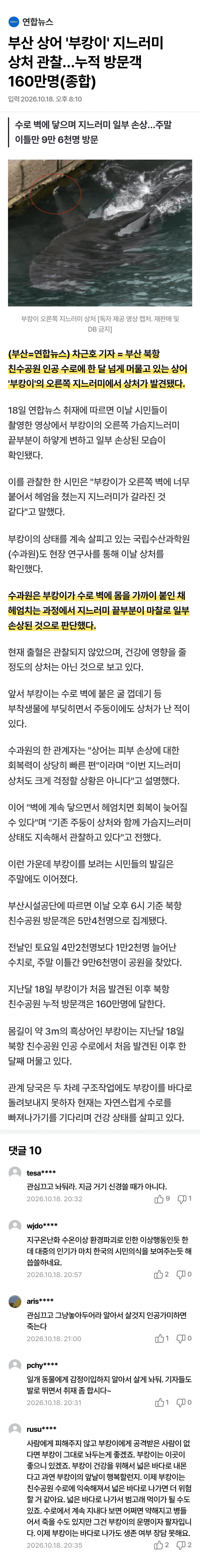 부캉이 지느러미 상처 ㅜㅠ (2)