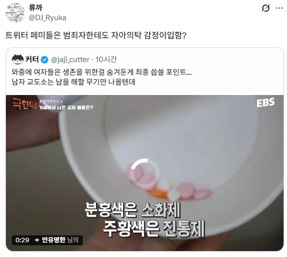 오늘자 페미 본진에서도 아 이건좀 박은 레전드 트페미