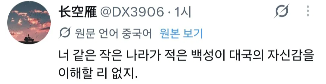 왜 한국여행와서 번역기나 영어 안쓰고 중국어만 쓰냐는 말에 발작난 중국인들 (5)