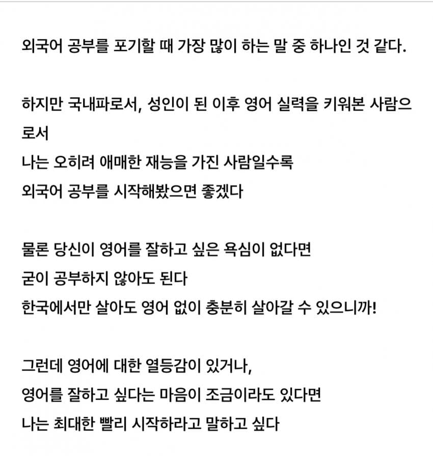 싱글벙글 애매한 재능일수록 외국어 공부를 시작해라 (2)