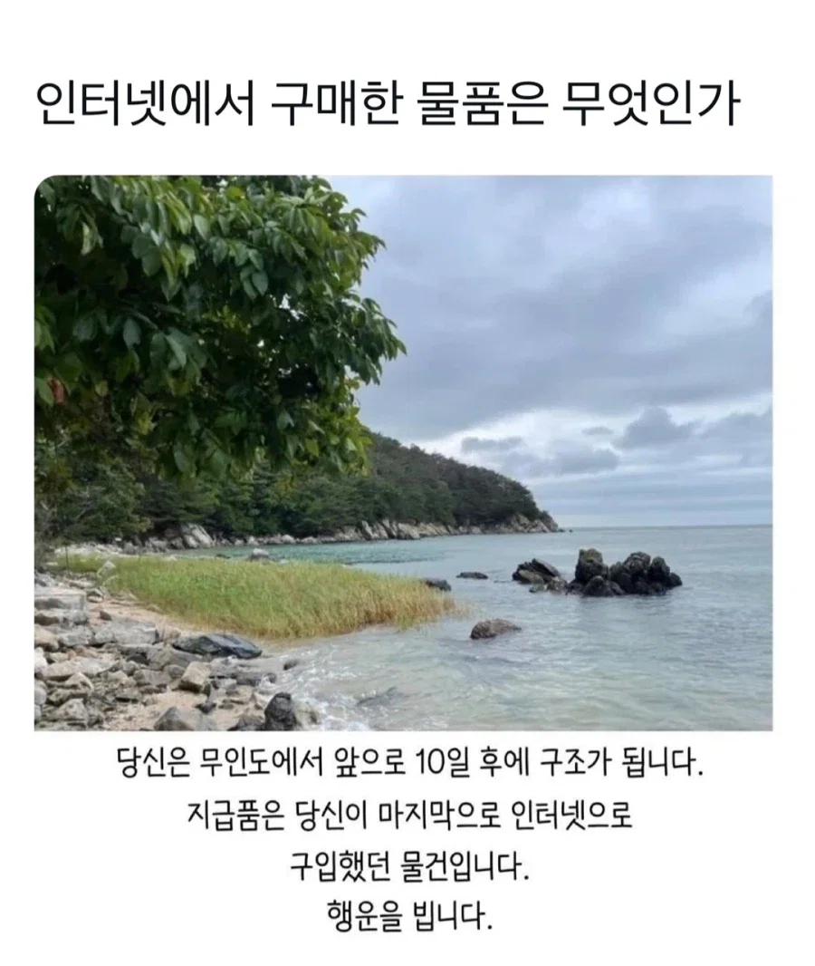 당신은 앞으로 10일 후 무인도에서 구조됩니다.