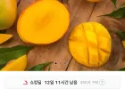 페루 애플망고 4kg 7-10과