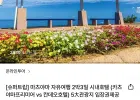 마츠야마 자유여행 2박3일