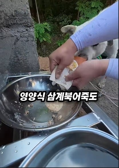 평생 목욕 한번 안 해본 차고지 지킴이 2살 한성이의 생애 첫 목욕대작전 (47)
