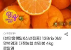 13Brix이상 맛책임제 대정농협 한라봉 4kg 로얄과