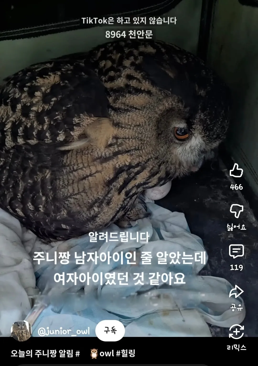 어느 일본인 유튜버가 6년만에 눈치챈 사실.mp4