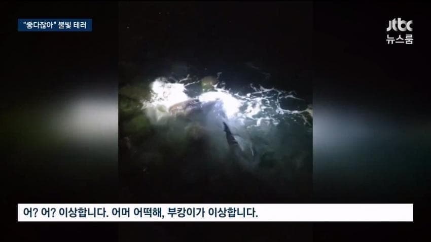 훌쩍훌쩍 죽기 직전이라는 부산 상어 (2)