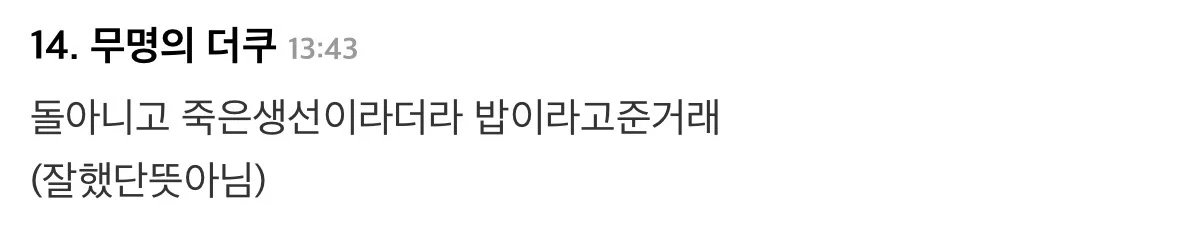 북항 상어한테 돌던지는 인간도 등장했네요...(정정: 돌 아니고 죽은 생선 밥이라고 던진거라함)