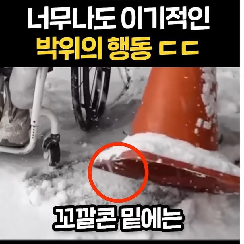 박위 선한 영향력 ㄷㄷㄷㄷㄷ (5)