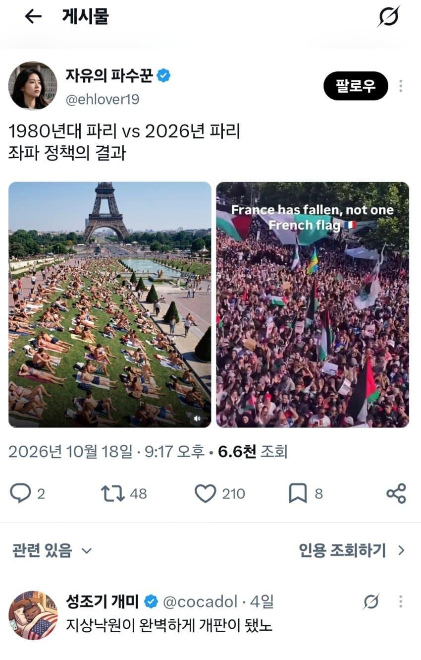 싱글벙글 프랑스 무슬림 폭동 진실 (5)