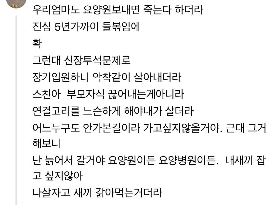 엄마의 긴 노년이 나를 죽음으로 몰아간다 (4)