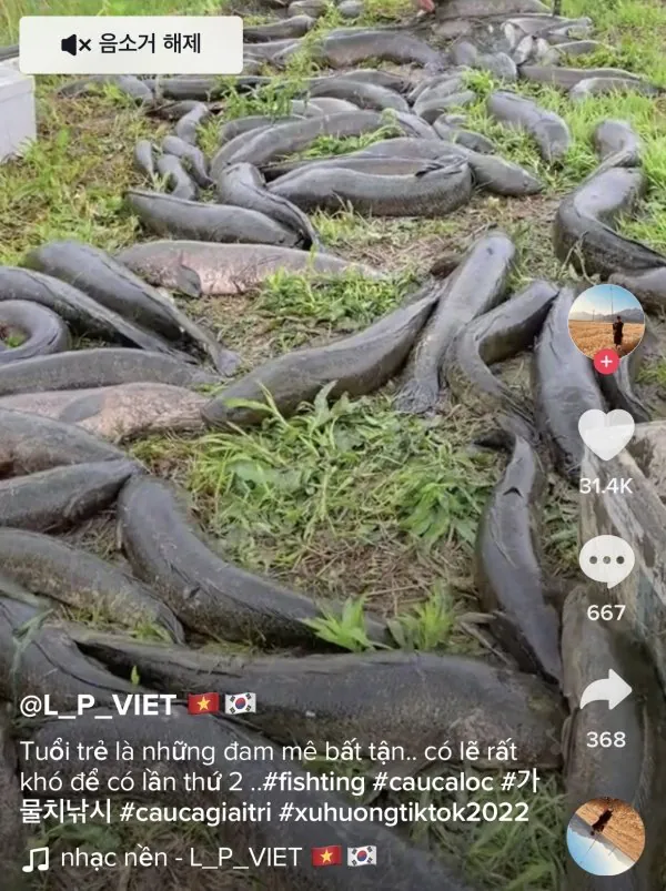 한국 거주 베트남인들이 하고 다녔던 짓들 (2)