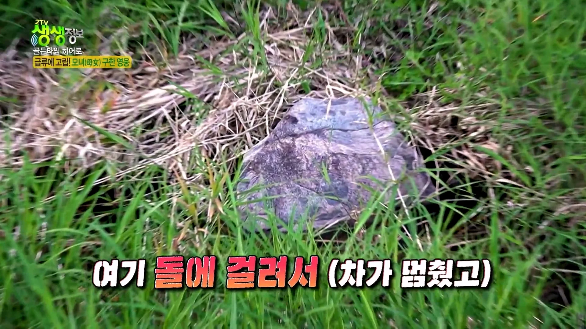 크레인으로 급류에 떠내려가는 모녀 구출했다는 크레인 기사 (10)