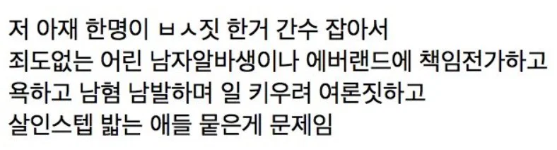 '여자 혼자 놀이기구 탔더니 생긴 일' 피해자 2차가해중인 남초 (11)