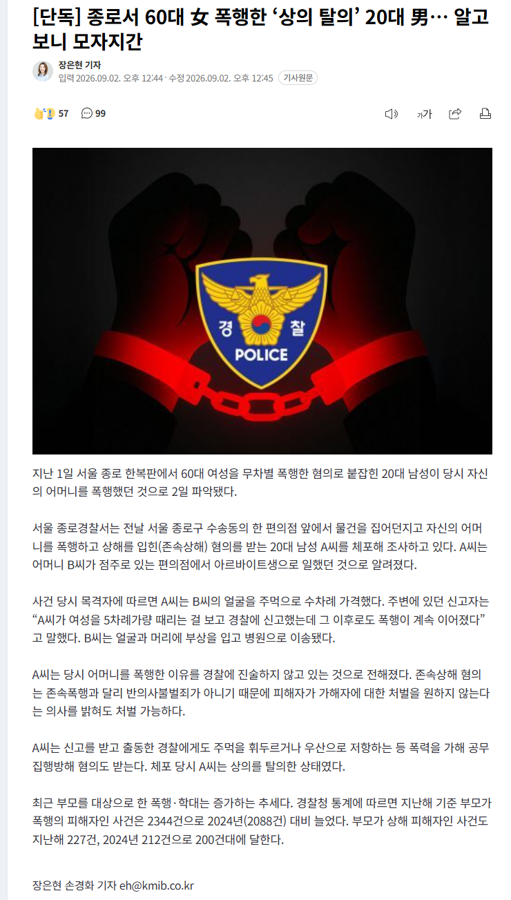종로서 60대 여성 폭행 20대, 알고 보니 모자지간