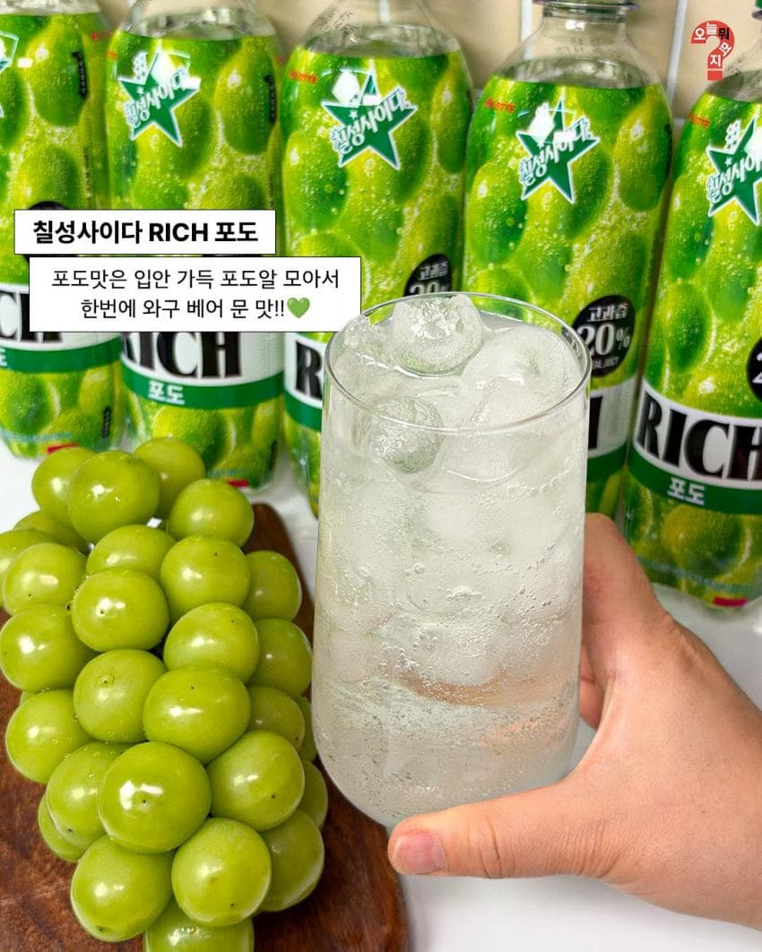 좋은 거 들고 왔습니다. 10월 2주차 주간신상 (13)