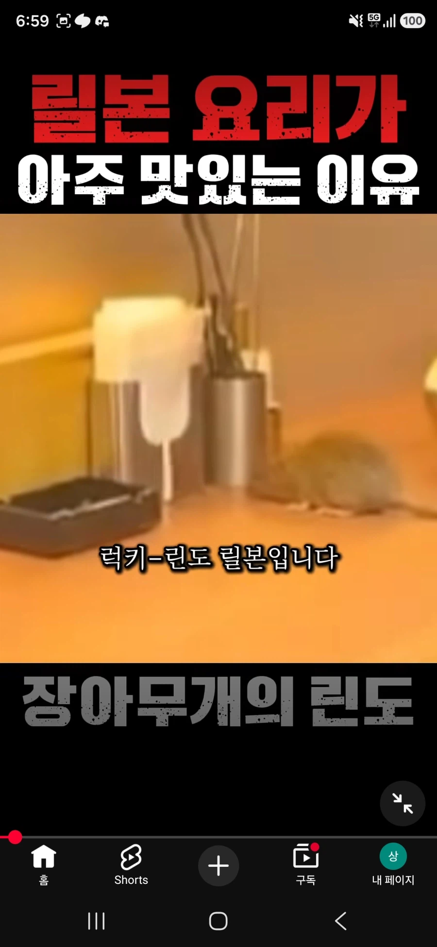 장아무개 린도 새 시리즈 근황 (4)