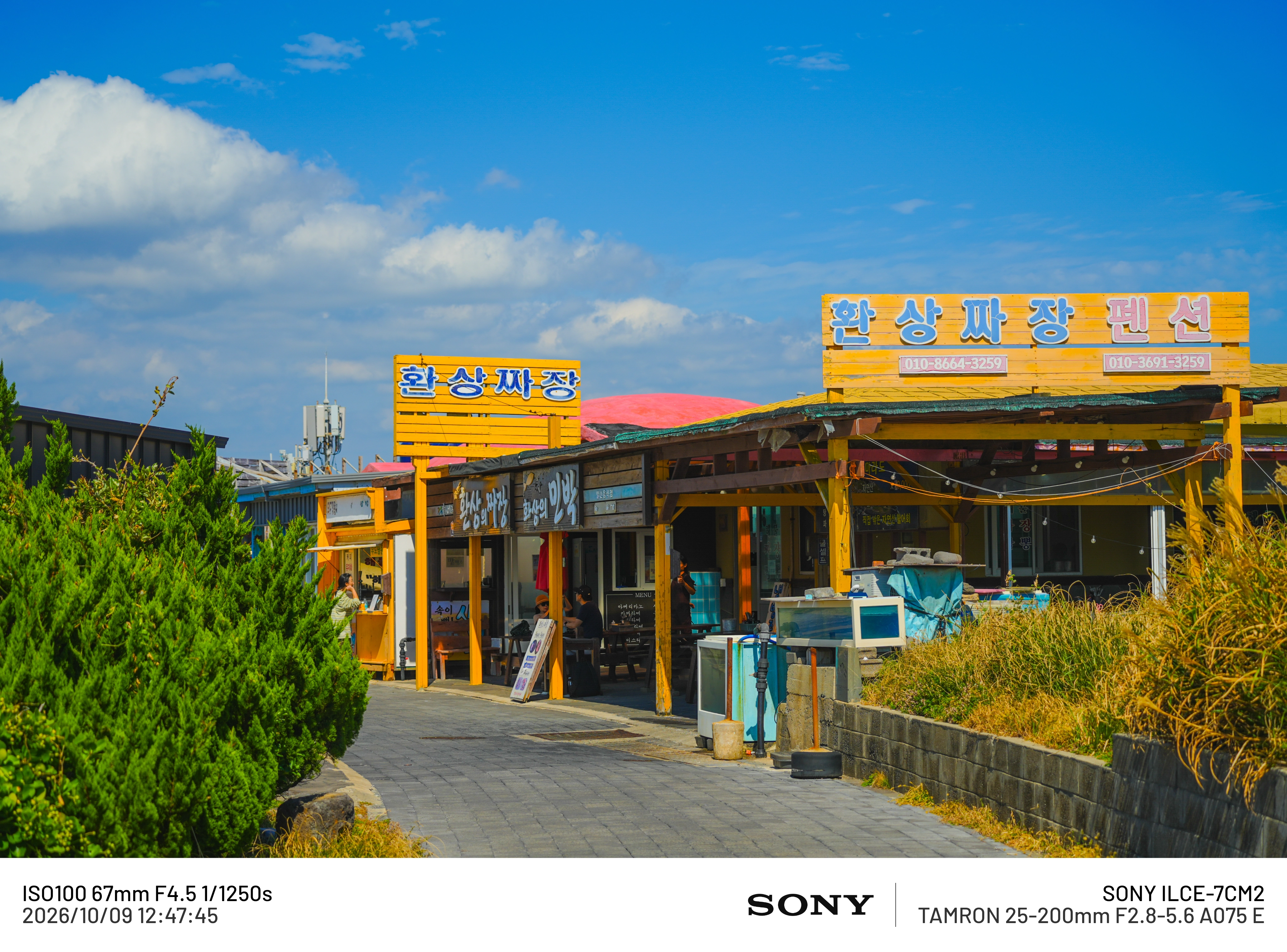 제주도 마라도, 주상절리 (50장) (21)
