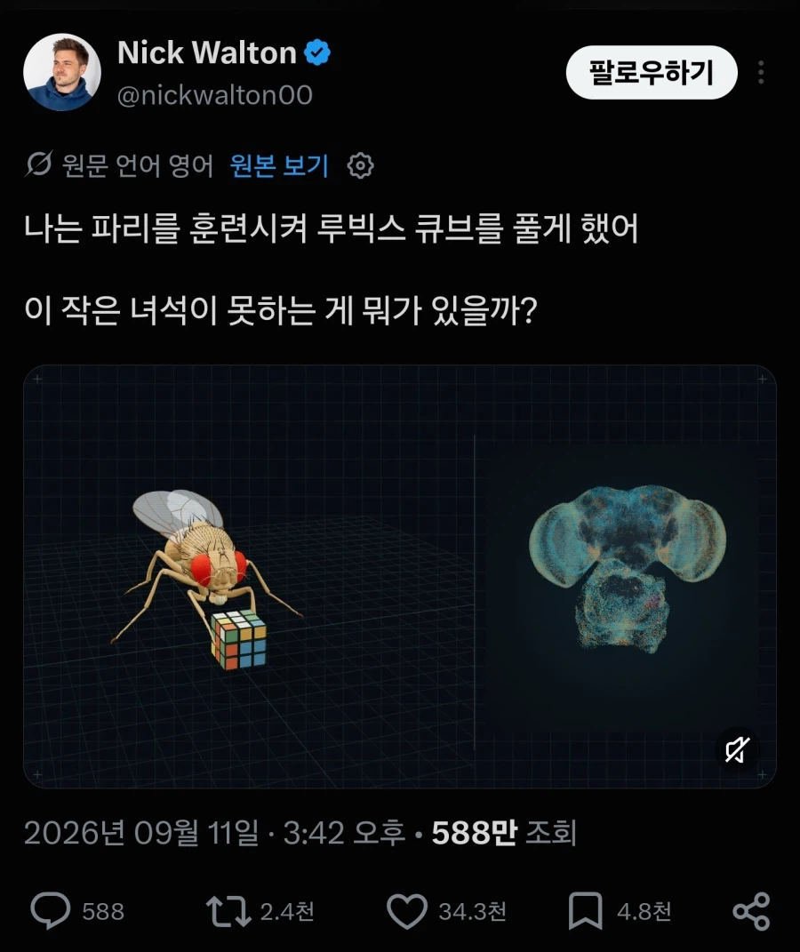 인간의 광기를 보여주는 초파리 뇌 신경망 활용 근황 (8)