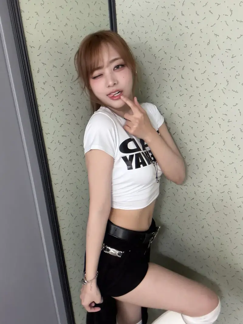 정신 나간 길고양이 국가사업 근황 (3)