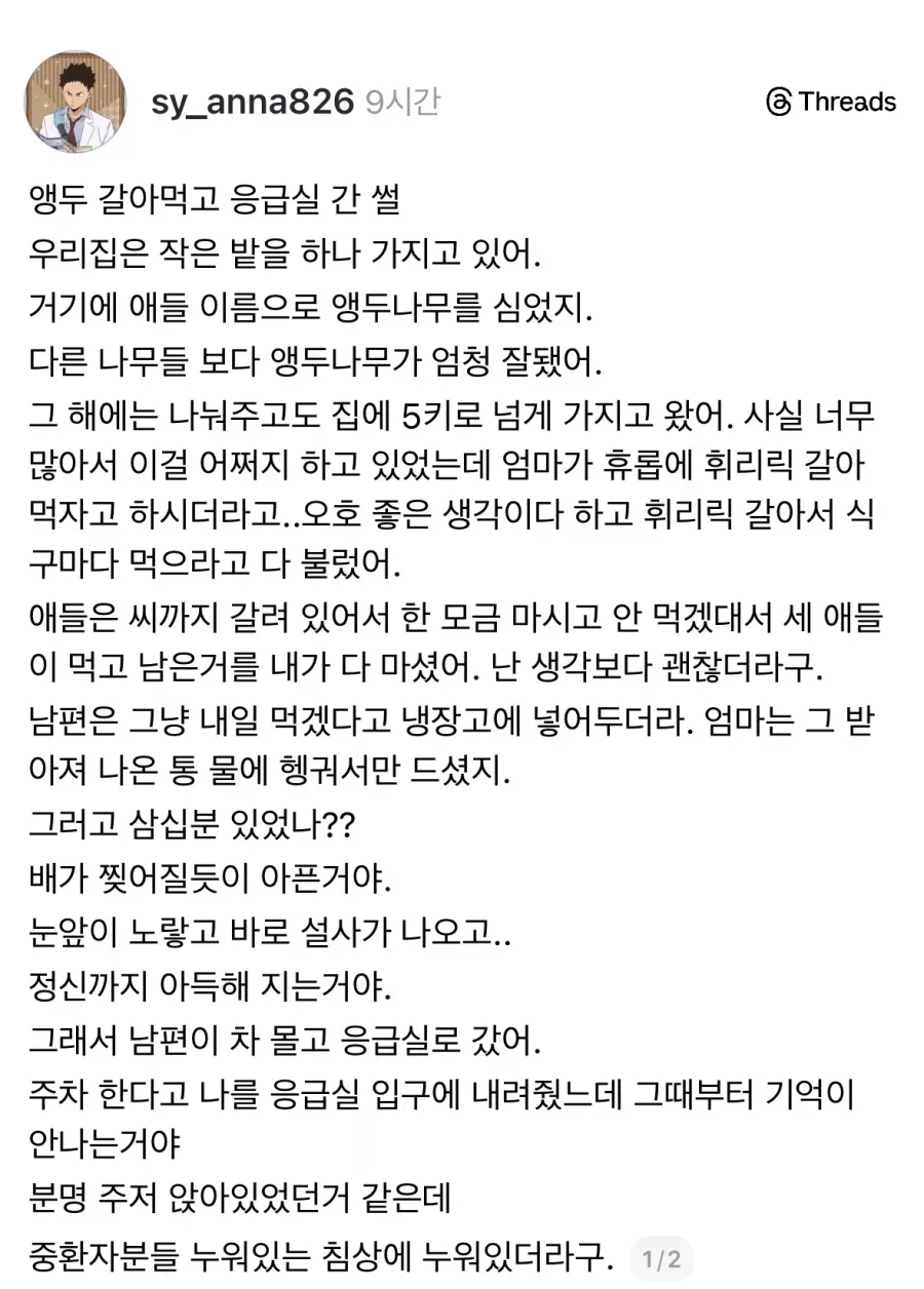 앵두 잘못 먹고 응급실 실려간 썰