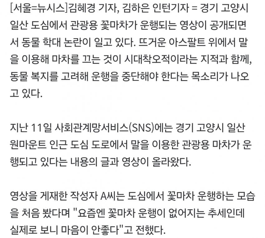 '다그닥 다그닥' 도로 한복판에 웬 말?…일산 마차 운행에 동물학대논란 (2)