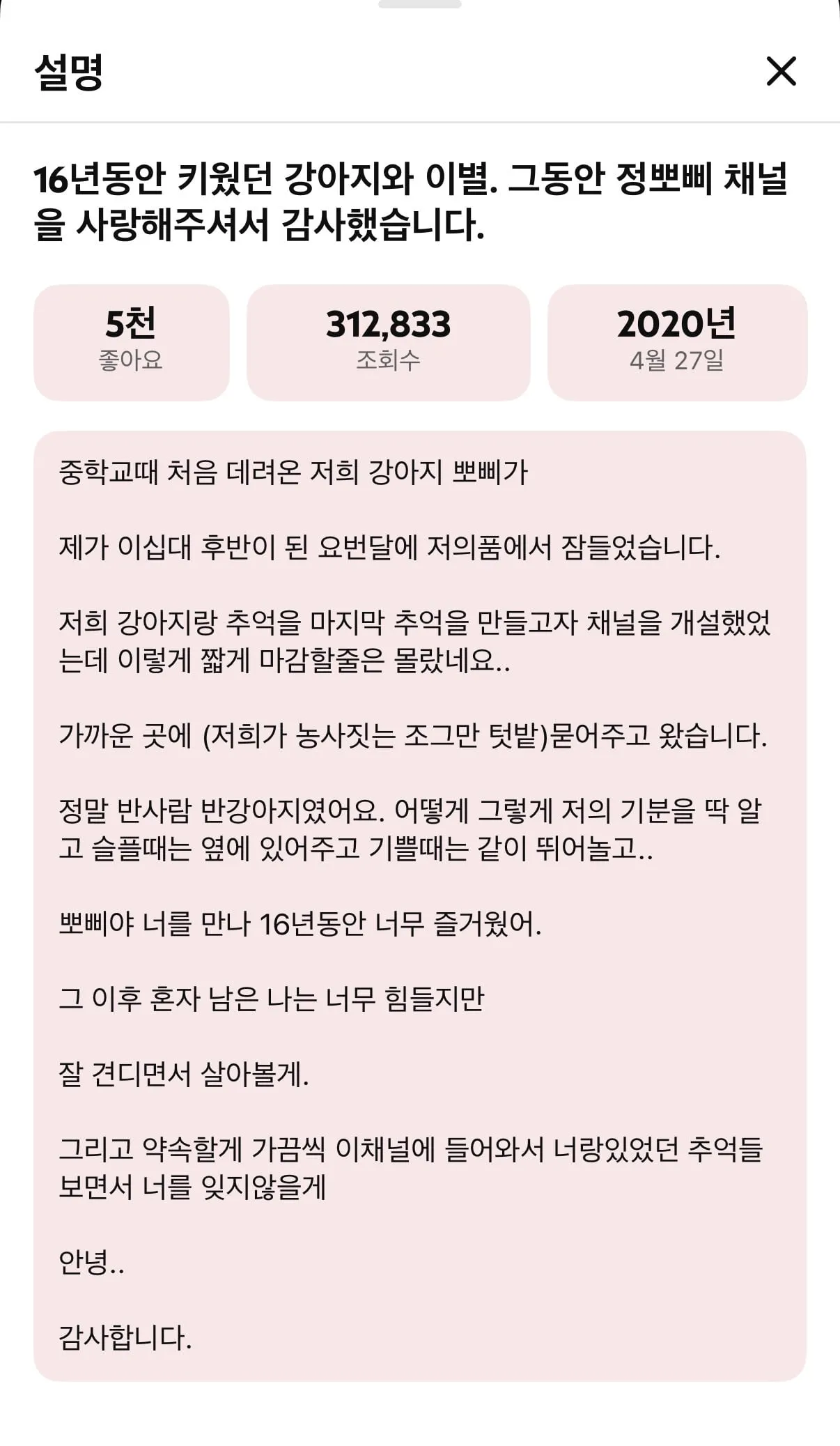 눈에넣어도안아픈우리집뽀삐…jpg