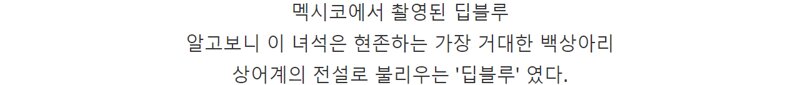 고래 먹방하던 상어들이 사라진 이유 (3)