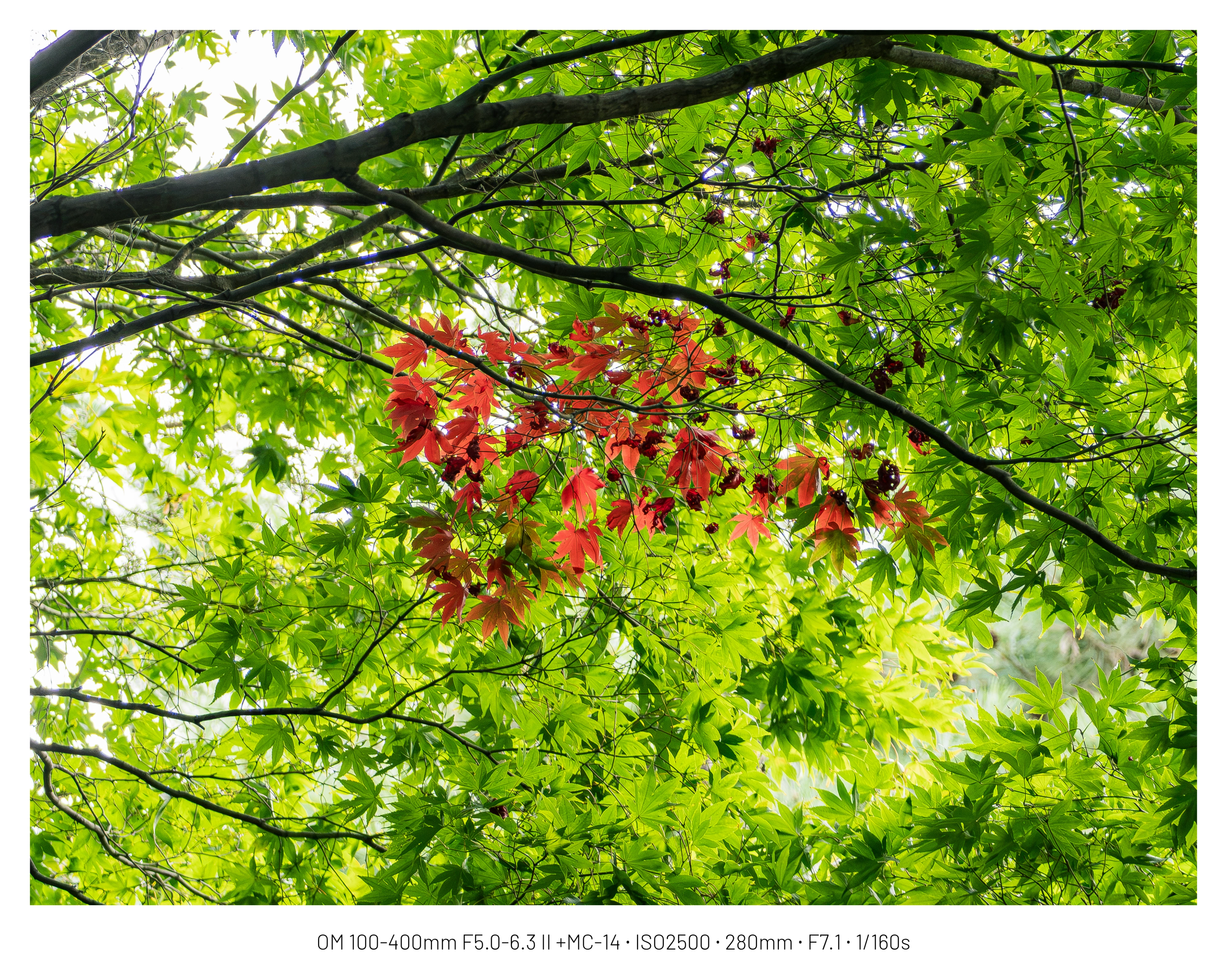 3분기 사진 정산 . webp (40)